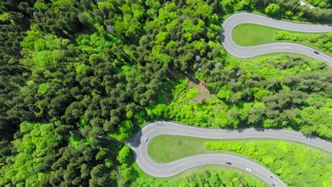Mountain road through forest Stock Footage 311932267