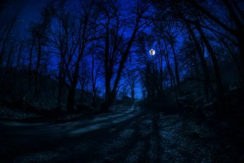 Mountain Road through the forest on a full moon night. Scenic night landscape Stock Photos