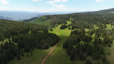 Mountain Road Through Forest Near Vail | Summer Drone Shot Colorado Vídeos de archivo 331482931