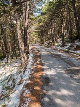 Mountain road through forest Stock Photos