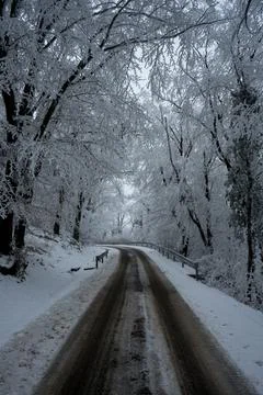 Mountain road through the forest under snow Foto stock