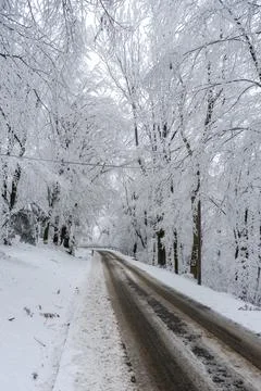 Mountain road through the forest under snow Foto stock