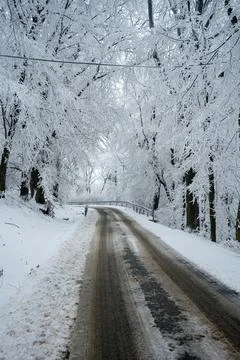 Mountain road through the forest under snow Foto stock