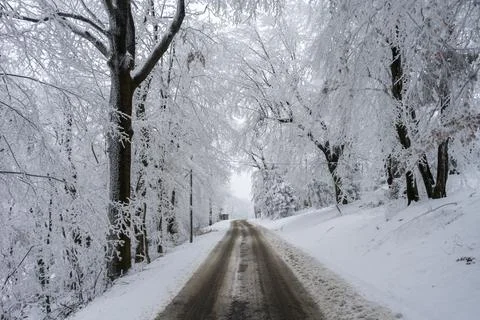 Mountain road through the forest under snow Foto stock