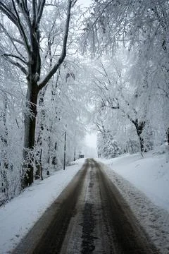 Mountain road through the forest under snow Foto stock