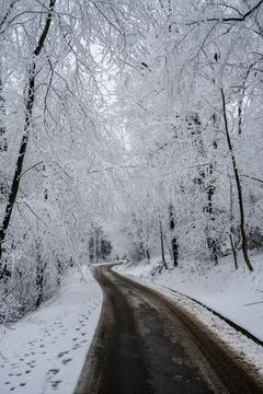 Mountain road through the forest under snow Foto stock