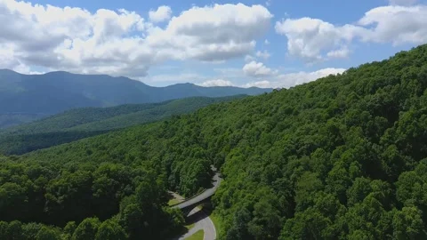 Mountain Road Through Lush Green Forest Stock Footage 328964414