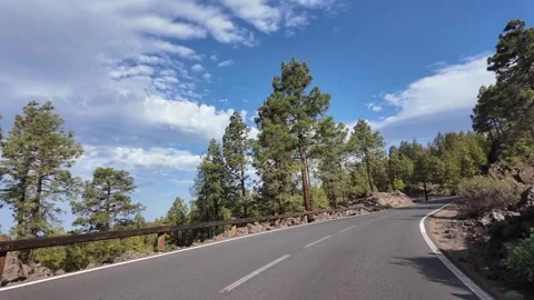 Mountain Road Through Pine Forest in Tenerife Canary Islands Stock-Footage 341328281