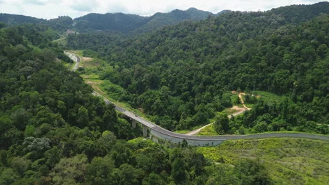 Mountain Road Through Primary Rainforest near Taman Negara, Malaysia Видео 342782420