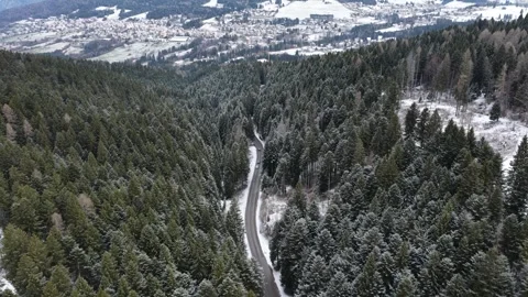 Mountain Road through Snowy Pine Forest Revealing Alpine Mountains – Folgaria Stock Footage 346568108