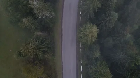 Mountain road throught the pine trees shot from above Stock Footage 144543998