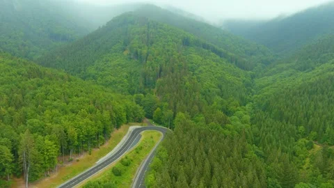 Mountain road, vicinity of Kouty nad Desnou, Jeseniky Mountains, Olomouc region Stock Footage 247121412