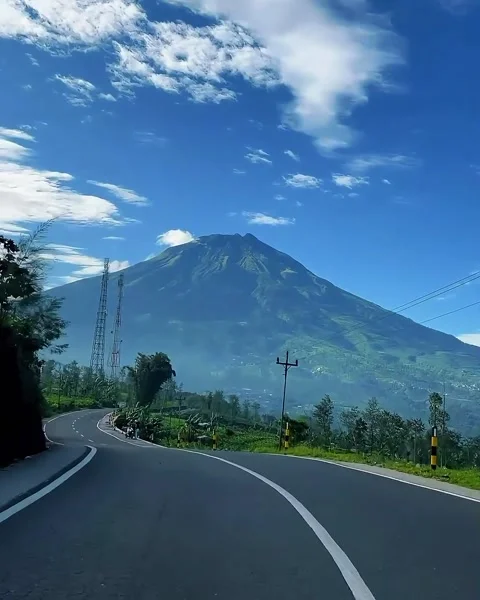 Mountain Road Winding Through Lush Landscape Stock Footage 290813543