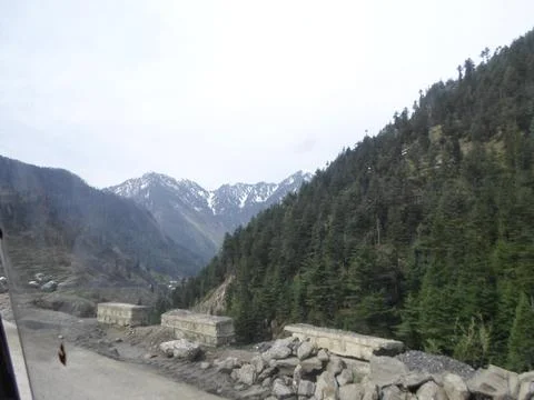 Mountain Road Winding Through a Pine-Forested Valley Stock Photos