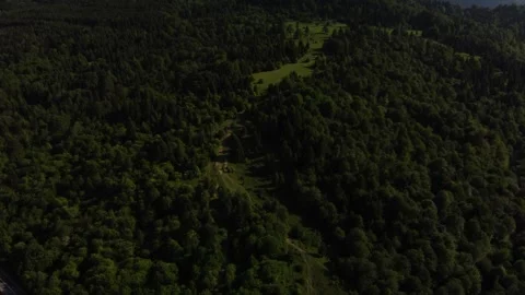 Mountain road within forest from drone on a sunny day Stock Footage 297255380
