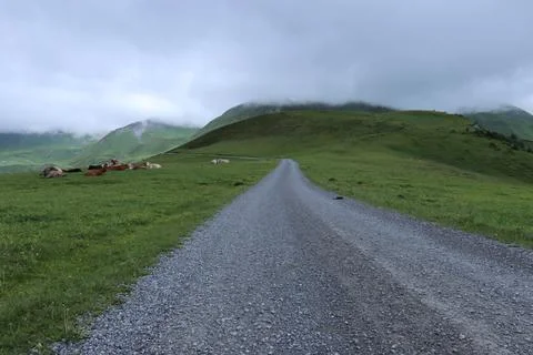Mountain Roads Stock Photos