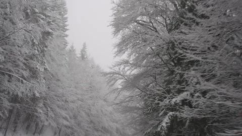 Mountain roads in winter Stock Footage 279972155