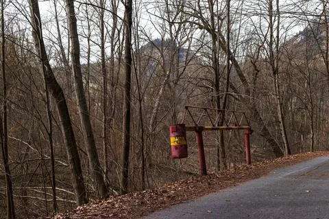 Mountain Roadside with Forest Trees and Metal Barrier Structure 库存照片