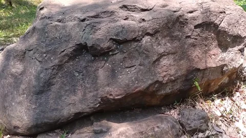 Mountain rock in the forest surrounded by woods Stock Footage 253975618