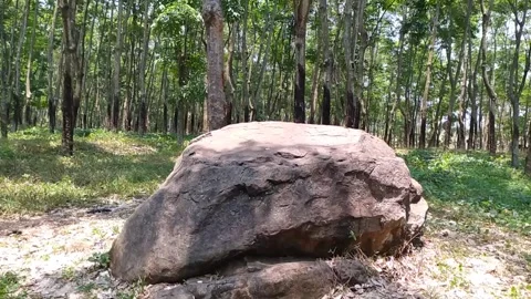 Mountain rock stone inside forest Video stock 253975683