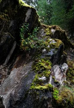 Mountain rock texture closeup for your design. Natural wallpaper. Stock Photos