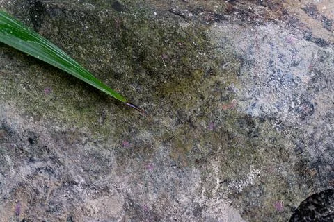 Mountain rock texture. Suitable for background Stock Photos