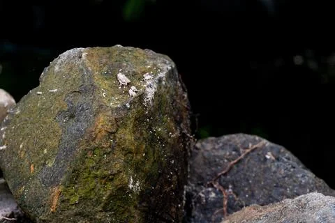 Mountain rock texture. Suitable for background Stock Photos