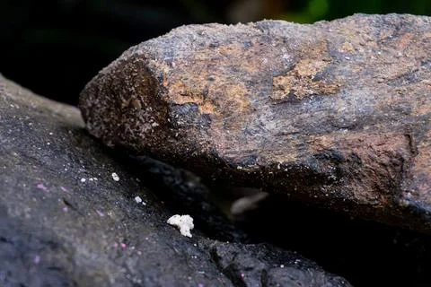 Mountain rock texture. Suitable for background Stock Photos