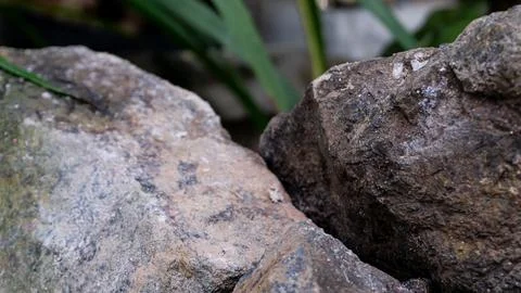 Mountain rock texture. Suitable for background Stock Photos