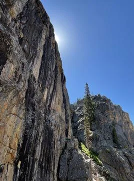 Mountain Rocks Cliff Tree Stock Photos