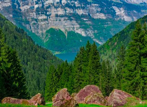 Mountain rocks with forest in the background Stock Photos