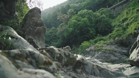 Mountain rocks in the forest Stock Footage 110774457