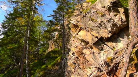 Mountain rocks, trees landscape on blue sky. Calm natural scene. Stock Footage 253109102