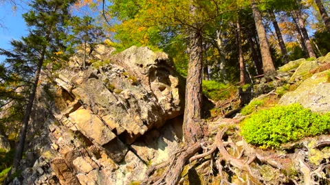 Mountain rocks, trees landscape on blue sky. Calm natural scene. 스톡 동영상 253109235