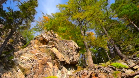 Mountain rocks, trees landscape on blue sky. Calm natural scene. Stock Footage 253109548