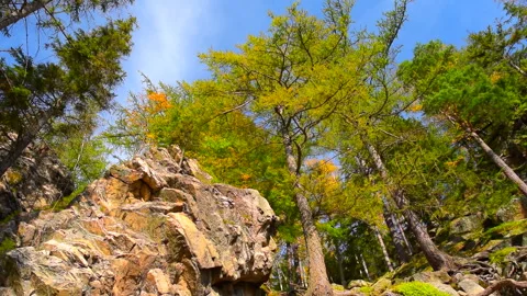 Mountain rocks, trees landscape on blue sky. Calm natural scene. Stock Footage 253109631