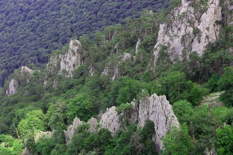 Mountain rocks in valley Stock Photos