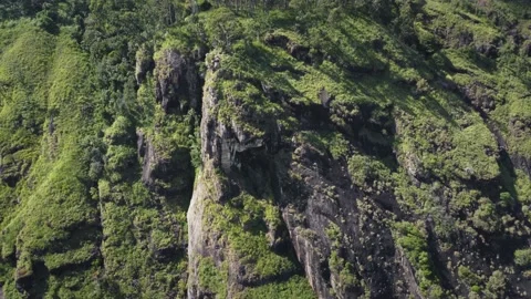 Mountain rocky landscape with trees Stock Footage 172375316
