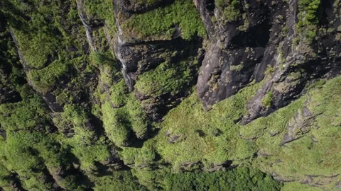 Mountain rocky landscape with trees Stock Footage 174643448