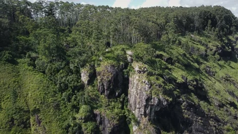 Mountain rocky landscape with trees Stock Footage 234049942