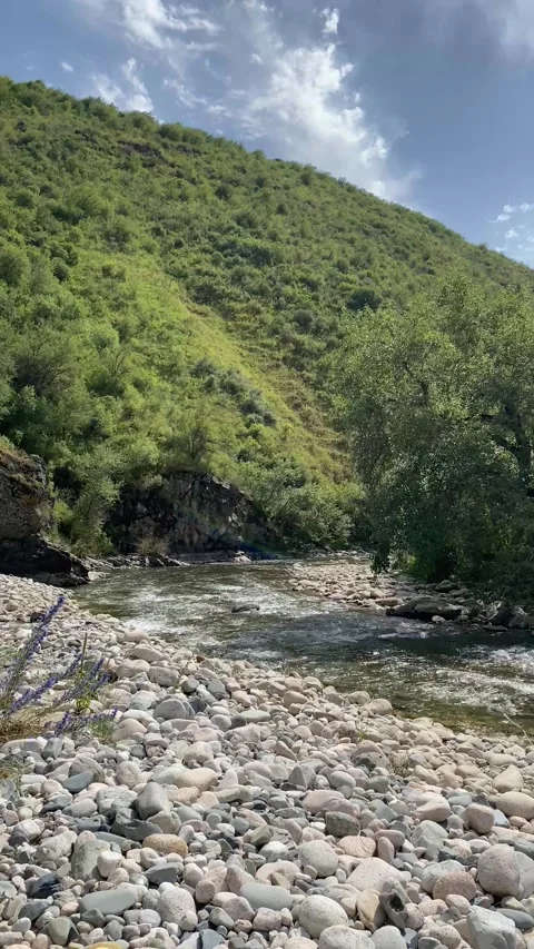Mountain rocky river and high green hill on the background Stock Footage 251920236