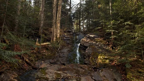 Mountain rocky stream flowing in coniferous green woods background slow motion  Stock Footage 107560622