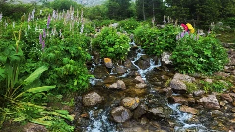 Mountain rocky stream in summer 動画素材 282351450