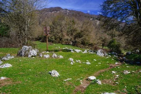 Mountain Route 写真素材