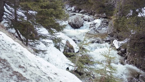 A mountain rushing stream. Dolina Zeleneho plesa, Tatra mountains Stock Footage 109390108