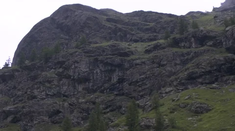 Mountain with Scattered Grass and Alpine Trees 動画素材 41594918