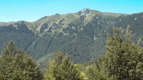 Mountain scenary with wind blowing and leaves moving in the trees Stock Footage 164301642