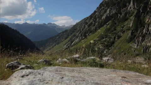 Mountain scene with bug on a rock, Furka Pass Switzerland Stock Footage 260481961