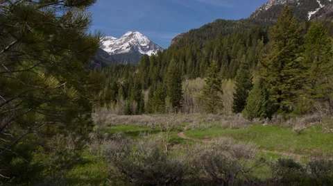 Mountain scene with moving dolly up Video stock 39302290