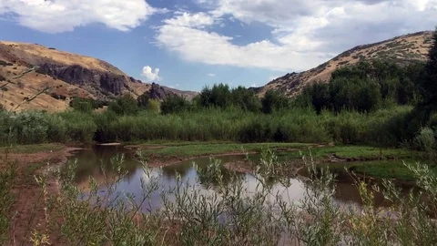 Mountain scene with pond HD Stock Footage 80236285